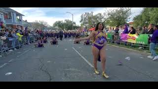 Part 1 Alcorn State University quotSODGOLDENGIRLSquot Endymion Mardi Gras Parade 2023 [upl. by Esinel]