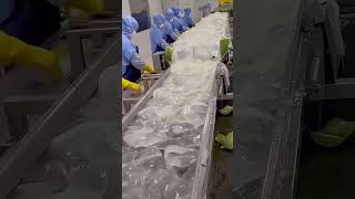 WOW SO THIS IS HOW ALOE VERA GEL IS MADE [upl. by Amre]