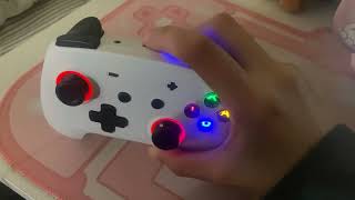 ECHTPower Switch Pro Controller Review Small but not too big for my hands [upl. by Bringhurst]