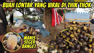 SKILL DEWA KUPAS BUAH LONTAR YANG JARANG KITA TEMUKAN [upl. by Jinny533]