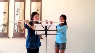 Themes from Narnia  Flute Duet [upl. by Yzzo905]