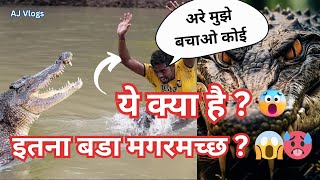 इतना बड़ा मगरमच्छ 😱   Crocodile Hunter  Biggest Crocodile in the World shorts ytshorts yt [upl. by Enahpad]