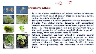 Plant Endosperm culture [upl. by Lasley]