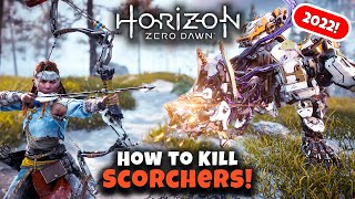 How to Kill Scorchers  Horizon Zero Dawn 2022  Master Machine Hunting Guide [upl. by Marten659]