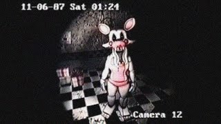 THESE FNAF VHS TAPES WILL MAKE YOU TERRIFIED [upl. by Aidiruy]