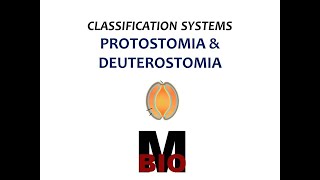 CLASSIFICATION SYSTEMSPROTOSTOMIA amp DEUTEROSTOMIA [upl. by Armington]