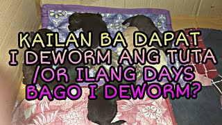 KAILAN BA DAPAT I DEWORM ANG TUTAASO ILANG DAYS BAGO I DEWORM [upl. by Yasnyl]