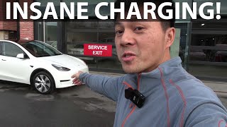 Picking up Tesla Model Y RWD with BYD Blade battery from Giga Berlin [upl. by Ut]