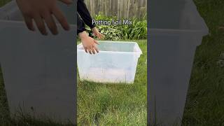 Potting Soil Mix shorts plants garden garden soil plantcare indoorplants houseplants [upl. by Pauletta]