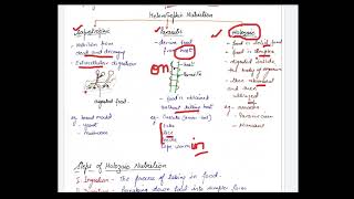 class 10 life processes heterotrophic nutrition [upl. by Ymas259]