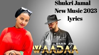 shukri Jamal  Waadaa Oromo Music video Official 2023 [upl. by Olethea]