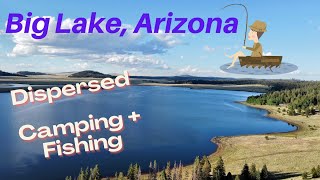 Big Lake Arizona Week  Big Lake Arizona  Free Dispersed Camping [upl. by Tarabar768]