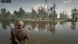 Steelhead Trout Red Dead Redemption 2 Survivalist 10 challenge [upl. by Nera]