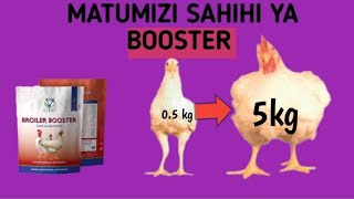 Usimpe kuku wako kila booster Zingatia mahitaji yakeufugaji poultryfarming [upl. by Hanikas]