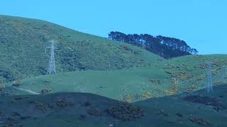 Pylons and high voltage cables visible from our house Lower Hutt New Zealand [upl. by Aderf]