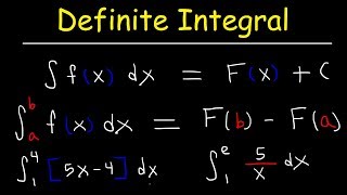 Definite Integral [upl. by Airahcaz812]