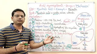 Antihyperlipidemic Drug Part 06 Final  Nicotinic Acid Niacin Mechanism of Action  Niacin [upl. by Eelamme683]