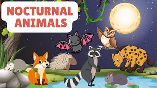 Learn NOCTURNAL ANIMALS for Toddlers and PreSchoolers [upl. by Rutter795]