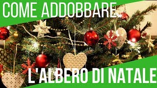 COME ADDOBBARE L ALBERO DI NATALE  5 TRUCCHI FONDAMENTALI  ORTO E GIARDINAGGIO [upl. by Natanhoj348]