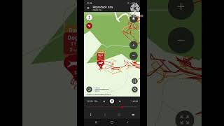 Dogtrace X30 GPS App [upl. by Tilda]