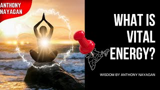 What is Vital Energy and Consciousness Anthony Nayagan [upl. by Tsuda]