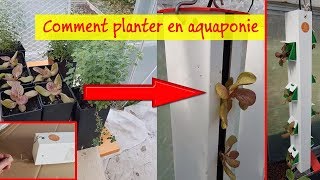 🌱 Comment planter en Aquaponie [upl. by Almeida]