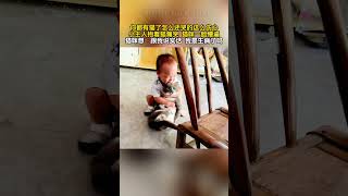 😿Kid Cries Hugging Cat Kittys Confused😕cat catvideos pets funny [upl. by Wallie]