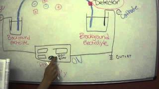 Capillary Electrophoresis [upl. by Nyleikcaj638]