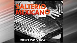 SALTERIO MEXICANO LA MAS HERMOSA MUSICA INSTRUMENTAL DE MEXICO INTERPRETA EL MAESTRO PEDRO RUIZ [upl. by Winters120]