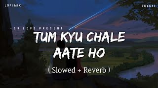 Tum Kyu Chale Aate Ho  Lofi Mix Slowed  Reverb  Vicky Singh  SR Lofi [upl. by Scotti579]