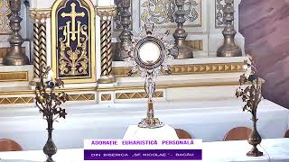 LIVE  Biserica RomanoCatolică quotSfinţii Petru şi Paulquot Bacău [upl. by Alur528]