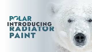 How To Use Radiator Paint White  POLAR  PolarItYourself [upl. by Nehgam]