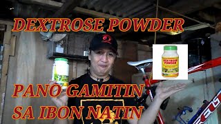 paano gamitin ang dextrose powder sa ating ibon [upl. by Hephzipa799]