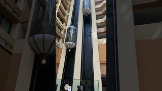 Glimpse of The Marriott Houston Westchase Glass Elevators [upl. by Namien]