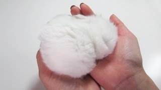 Fluffy Bunny Furball Sleeping in my Hand [upl. by Slifka]