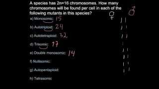 Chromosome number and ploidy mutations [upl. by Akener681]