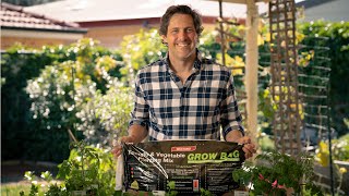 Planting with the Richgro Grow Bag with Charlie Albone [upl. by Sucramrej]