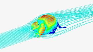 Aerodynamics of a Beaver [upl. by Graham]