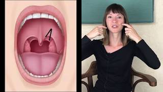 How to Improve the Swallow Reflex [upl. by Bbor]