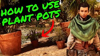 How To Use PLANT POTS in Ark Survival Ascended [upl. by Hopkins]