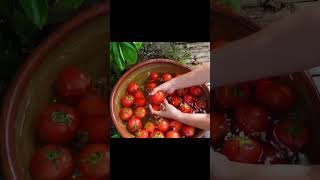 Harvest Tomatoes shorts fruit harvest [upl. by Neehar]