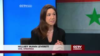 Hillary Mann Leverett on Syria [upl. by Bela]