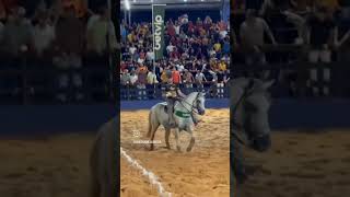 cavalo rodeio cavalos rodeiro vaqueiro rodeiobrasileiro horse rodeioshow [upl. by Einalam]