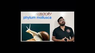 phylum mollusca  animal classification  Viral Short  Avinash sir [upl. by Christmann939]