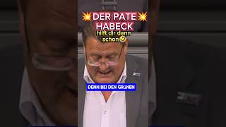 💥BRANDNER💥 NIMMT DIE GRÜNEN HOPPS🔥 ampel afd diegrünen habeck bärbock politik bundestag spd [upl. by Itsa]