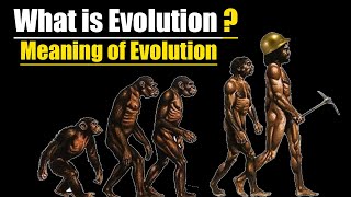 Meaning of Evolution  What is Evolution Urdu  Hindi [upl. by Henrie]