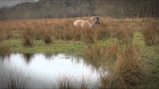 Fotomontage gemeente Beerse [upl. by Aitnwahs850]