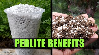 Perlite For Your Garden  Garden Quickie Episode 47 [upl. by Pincus]