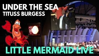 Tituss Burgess sings quotUnder the Seaquot  Little Mermaid Live at The Hollywood Bowl [upl. by Anaahs]