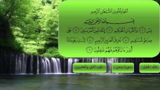 Surat Yasin by Khalid al Jaleel  سورة يس  خالد الجليل [upl. by Emearg]